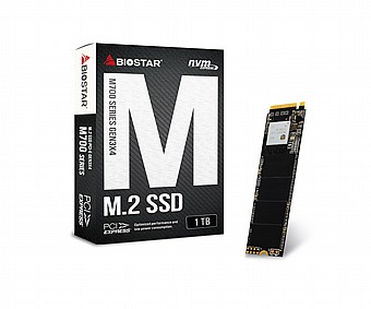 ���� SSD ����� BIOSTAR M700-1TB