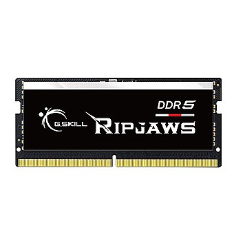 ������ ����� ���� G.Skill DDR5 F5-4800S4039A16GX1-RS 16GB 4800MHz SoDIMM