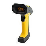 ���� ����� �������